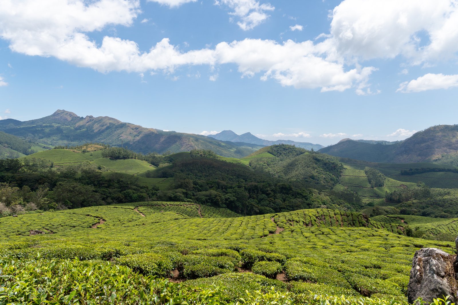 Eravikulam National Park Munnar