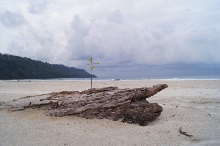 Radhanagar Beach Andaman Islands