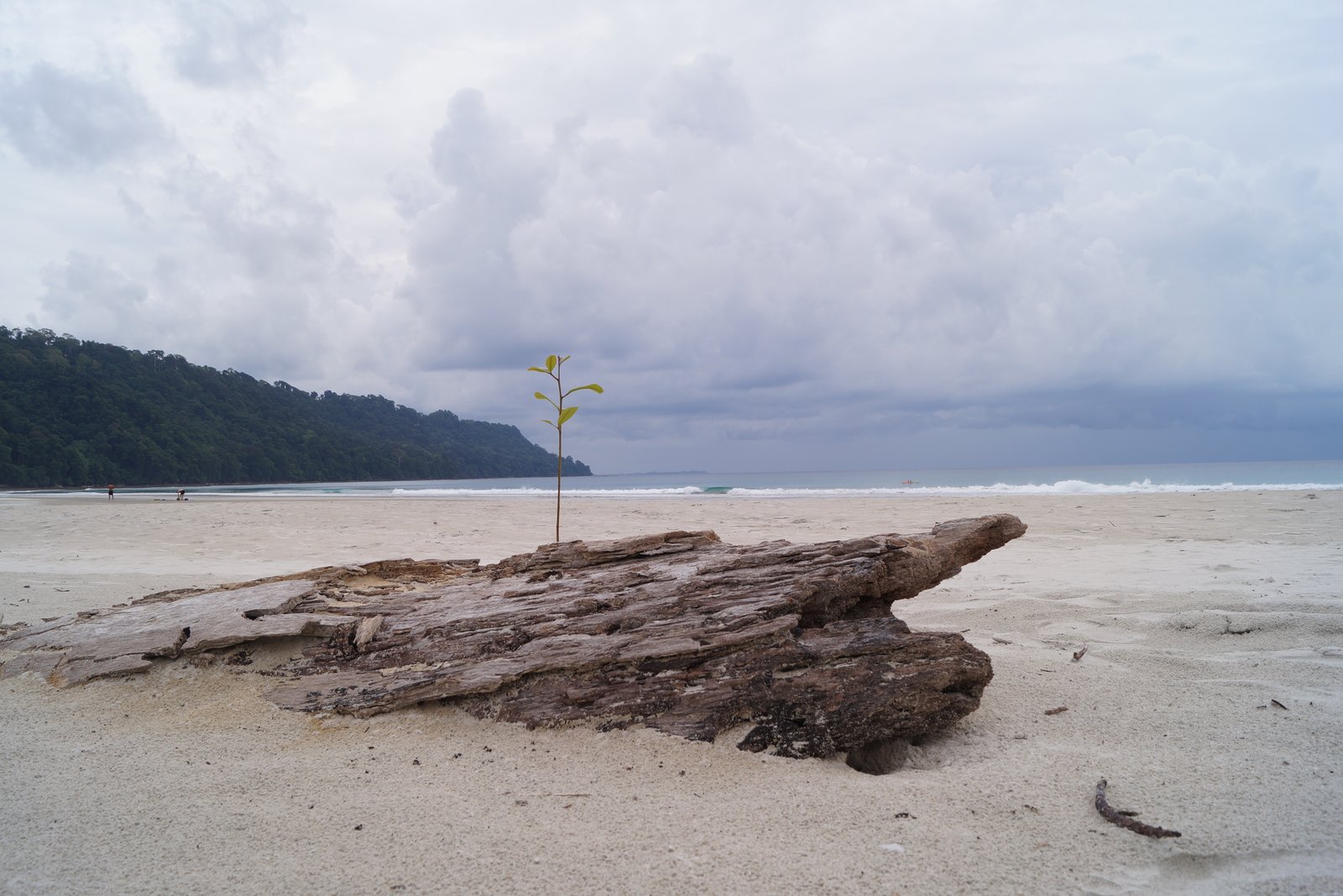 Radhanagar Beach Andaman Islands